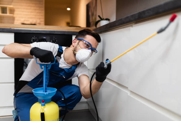 Best Exterminator Services  in New Lno, LA