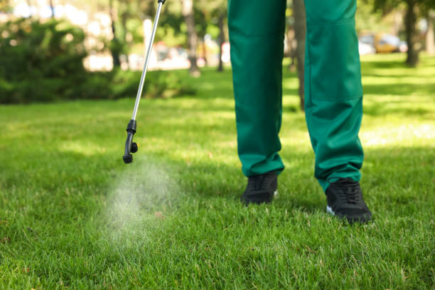Best Best Pest Control Companies  in New Lno, LA