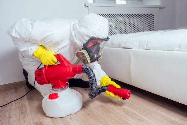 Best Pest Removal Services  in New Lno, LA