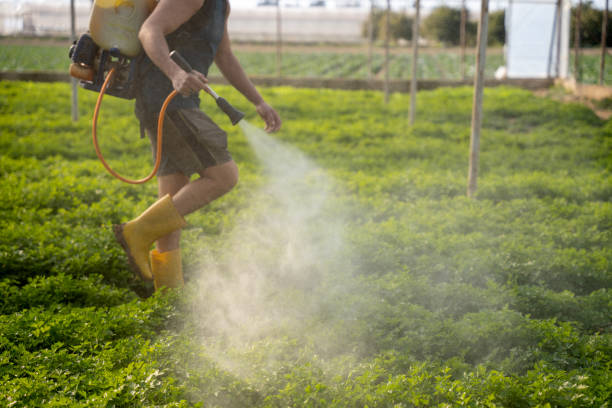 Best Pest Control for Businesses  in New Lno, LA