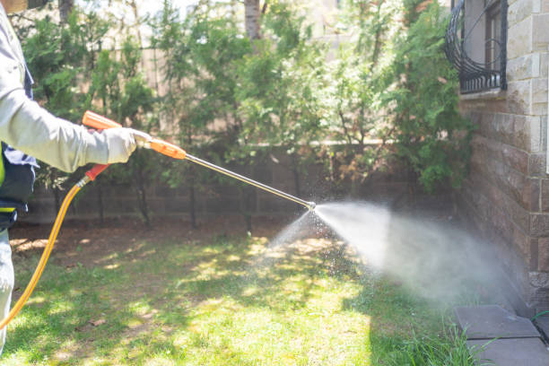 Best Rat Extermination Near Me  in New Lno, LA