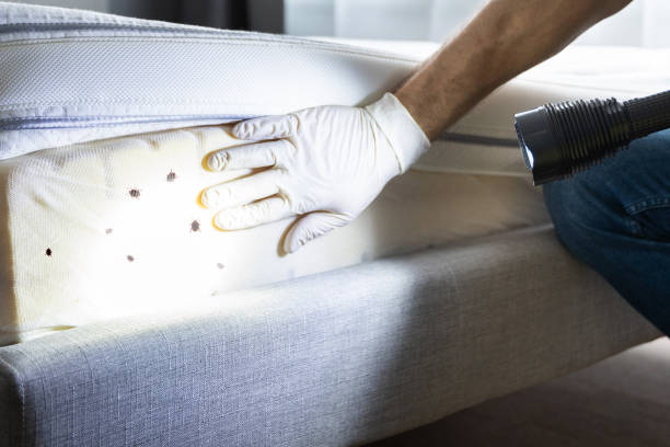 Best Residential Pest Control  in New Lno, LA