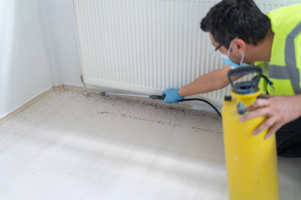 Reliable New Llano, LA Pest Control Solutions